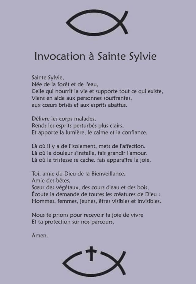 Invocation à sainte Sylvie