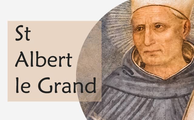 Saint Albert le Grand : demandez santé, sérénité et équilibre du corps et de l’âme grâce à la sagesse et à l’intercession de ce grand saint et docteur de l’Église.